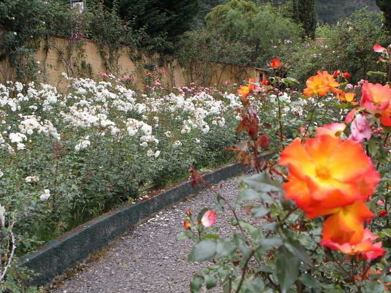 Pestana Quinta Do Arco Nature & Rose Garden Hotel Arco de Sao Jorge ภายนอก รูปภาพ