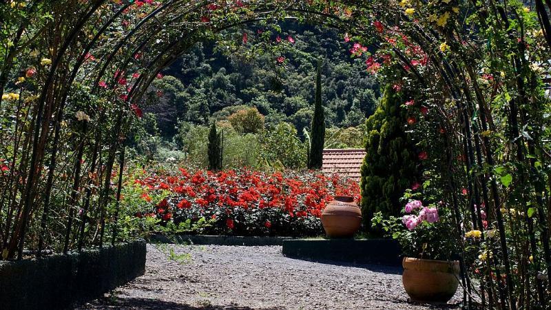 Pestana Quinta Do Arco Nature & Rose Garden Hotel Arco de Sao Jorge ภายนอก รูปภาพ